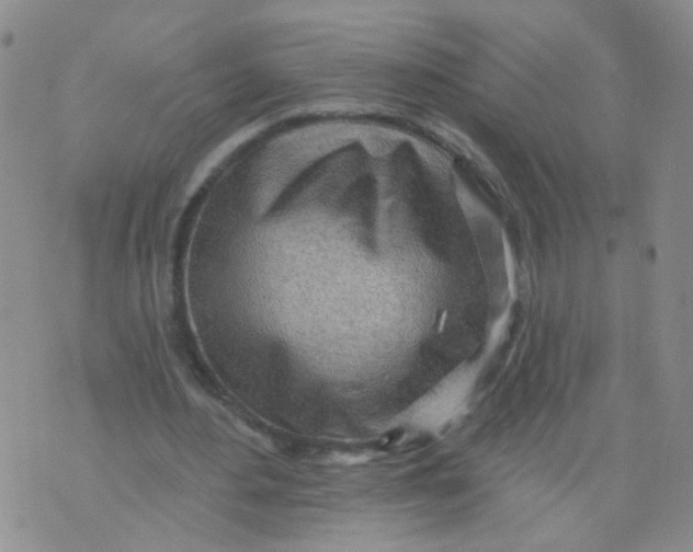 X0000073930484200609011838