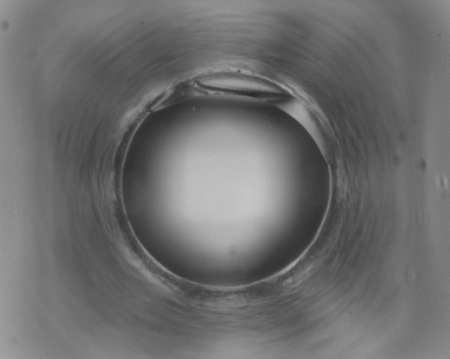 X0000073930485200609011838