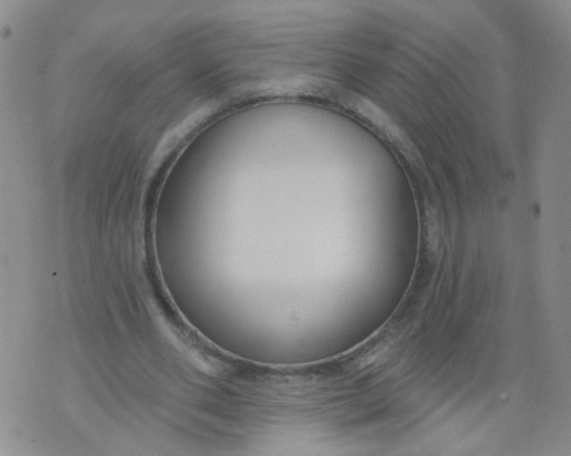 X0000073930486200609011838