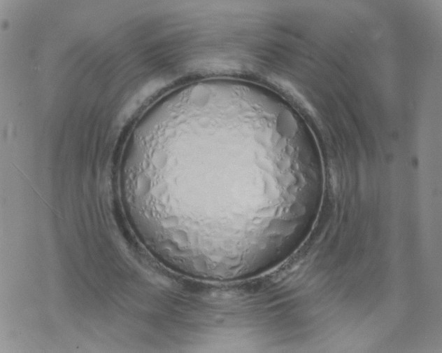 X0000073930487200609011838