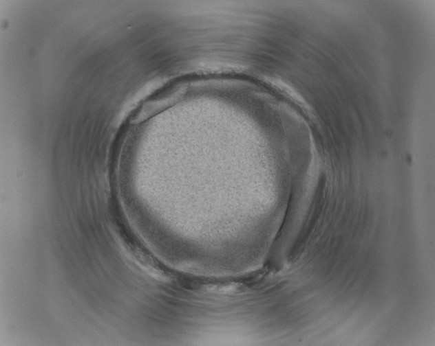 X0000073930488200609011838