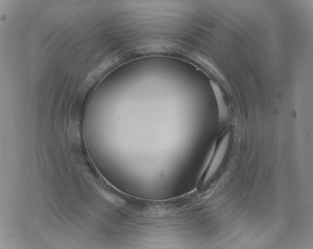 X0000073930489200609011838