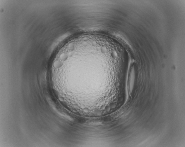 X0000073930491200609011838