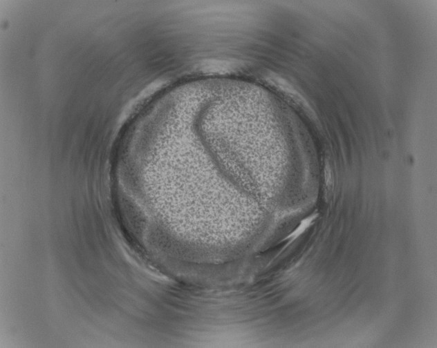 X0000073930492200609011838