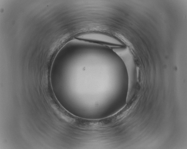 X0000073930493200609011838