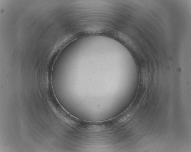 X0000073930494200609011838