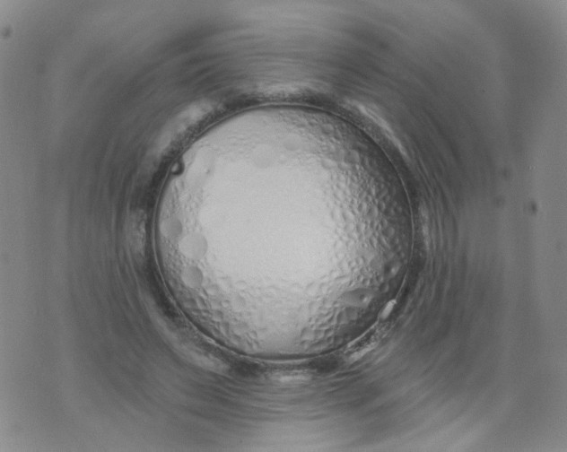 X0000073930495200609011838