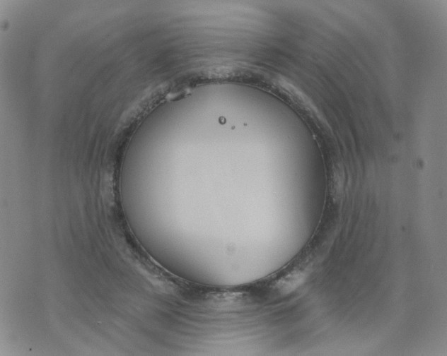 X0000073930497200609011838