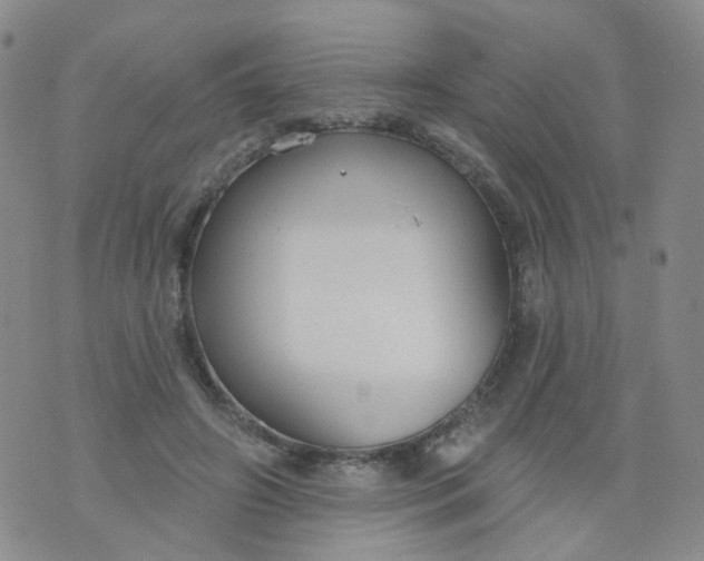 X0000073930498200609011838