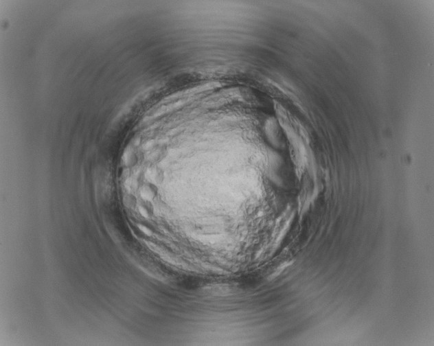 X0000073930499200609011838