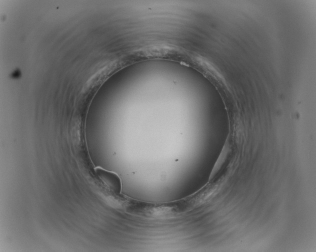 X0000073930501200609011838