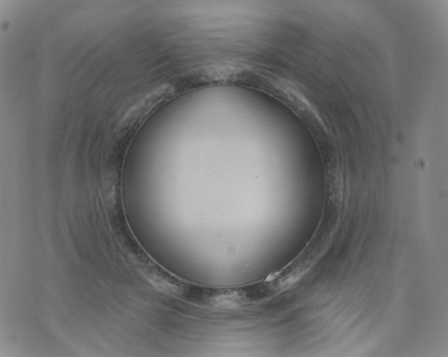 X0000073930505200609011838