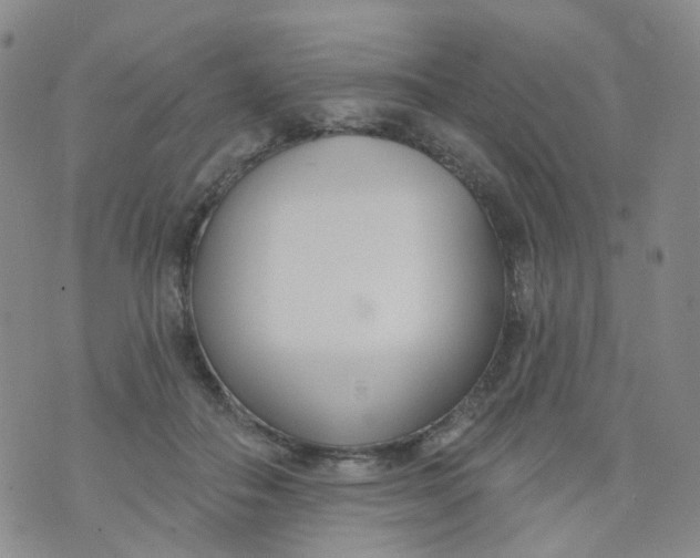 X0000073930506200609011838