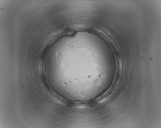 X0000073930507200609011838