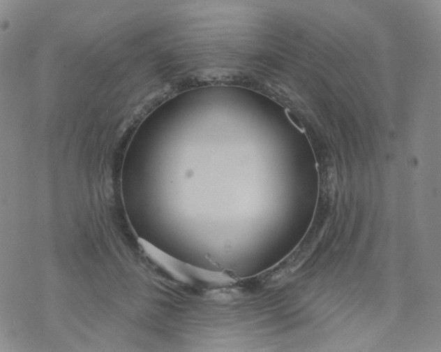 X0000073930508200609011838