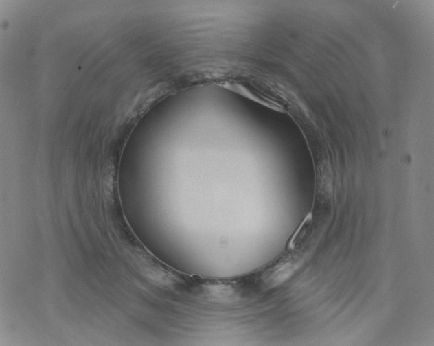 X0000073930509200609011838