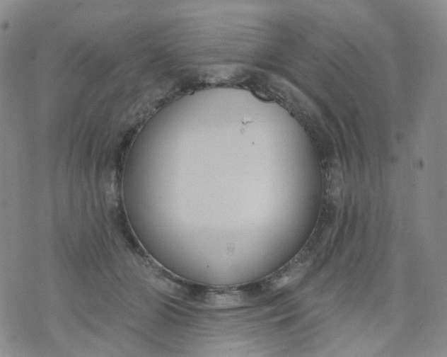 X0000073930510200609011838