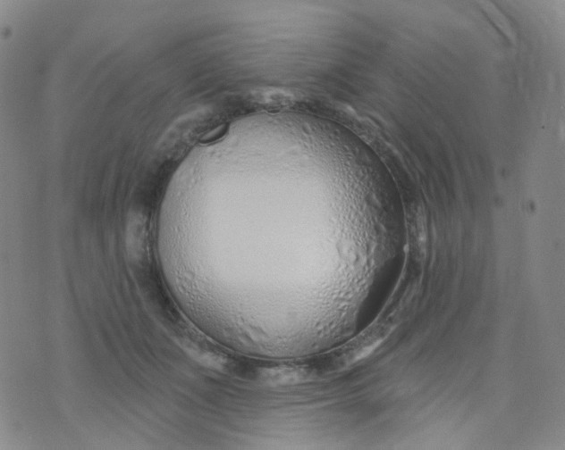 X0000073930511200609011838