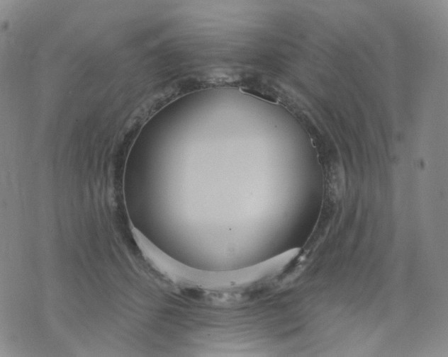 X0000073930512200609011838