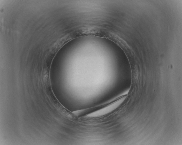 X0000073930513200609011838