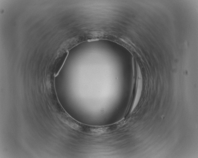 X0000073930516200609011837