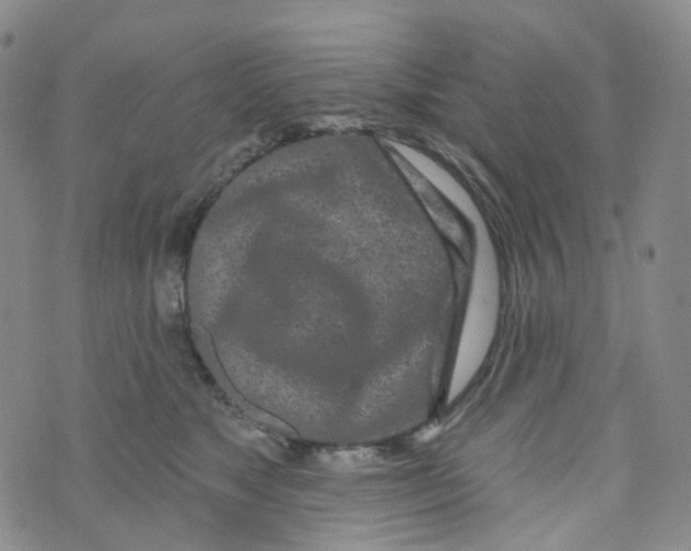 X0000073930517200609011837