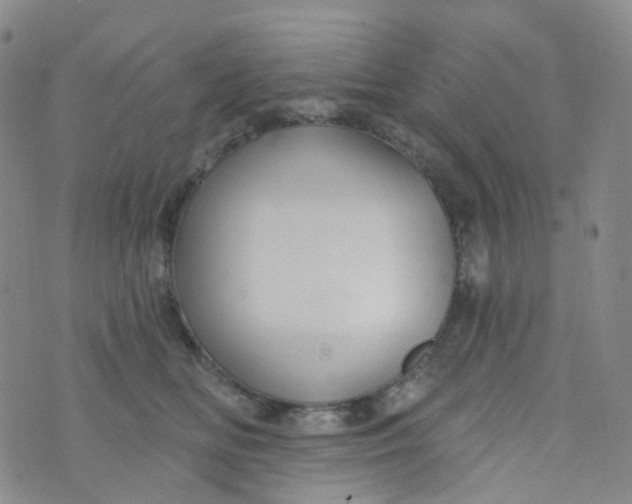 X0000073930518200609011837