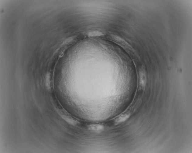 X0000073930519200609011837