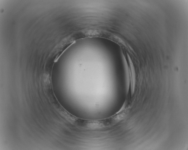 X0000073930521200609011837