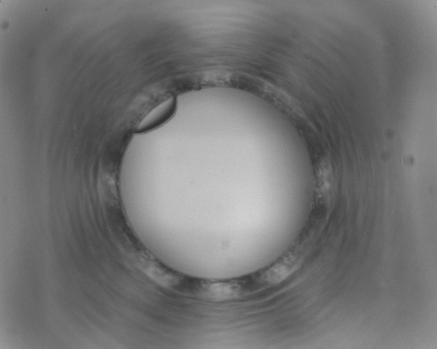 X0000073930522200609011837