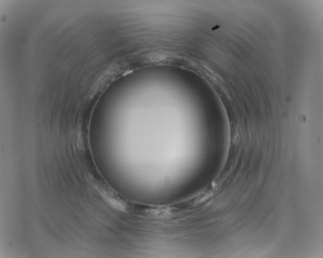 X0000073930524200609011837