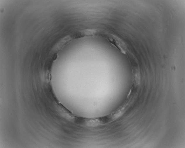 X0000073930525200609011837