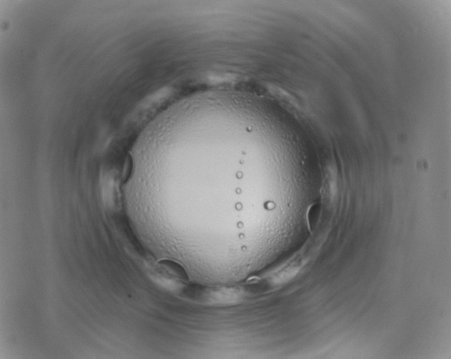 X0000073930527200609011837