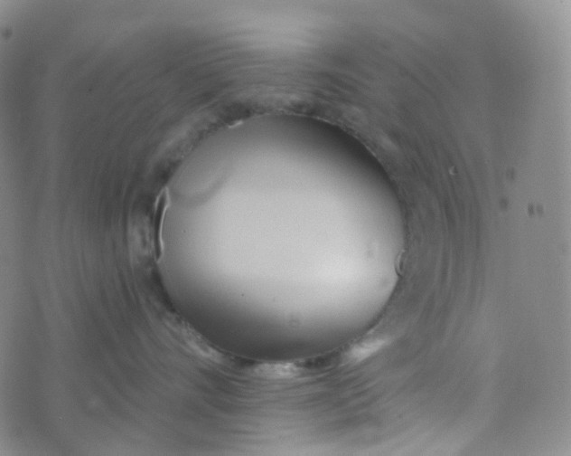 X0000073930528200609011837