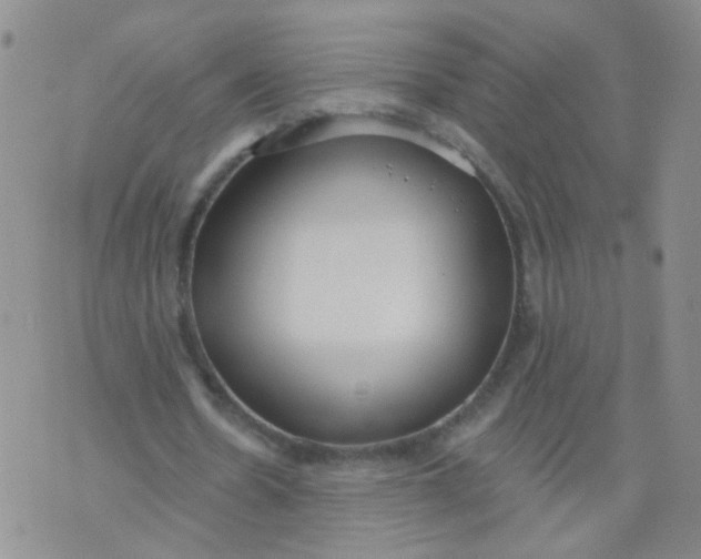 X0000073930530200609011837