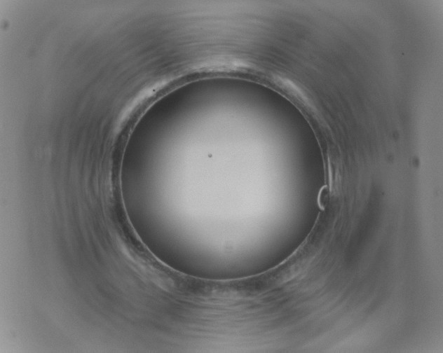 X0000073930531200609011837