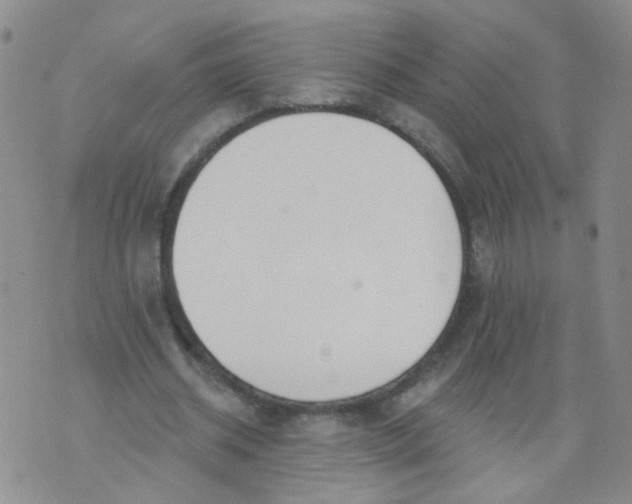 X0000073930534200609011837