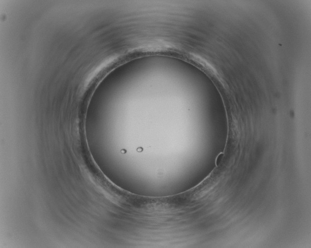 X0000073930535200609011837