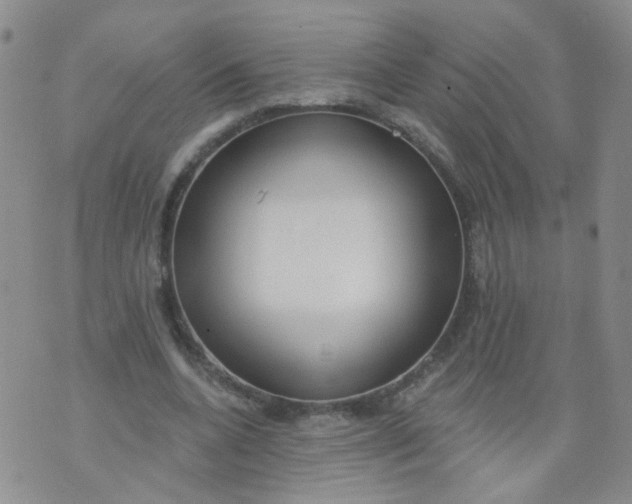 X0000073930536200609011837