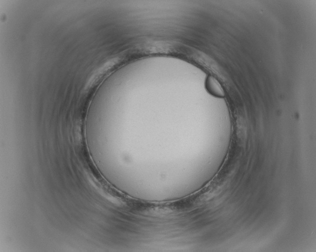 X0000073930537200609011837