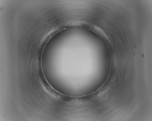 X0000073930538200609011837