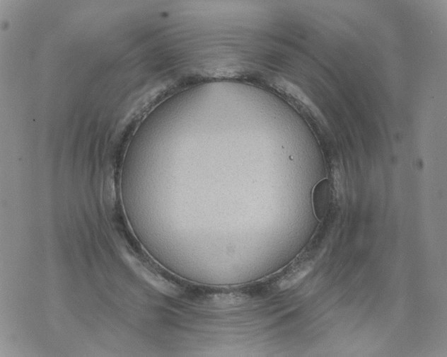 X0000073930541200609011837