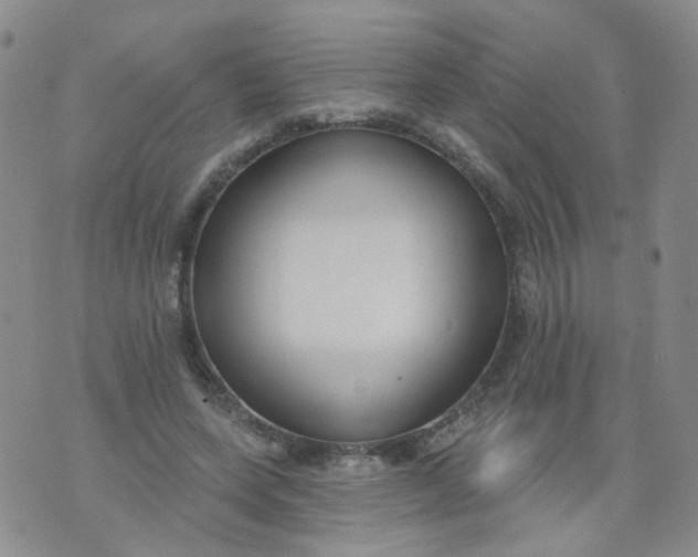 X0000073930543200609011837