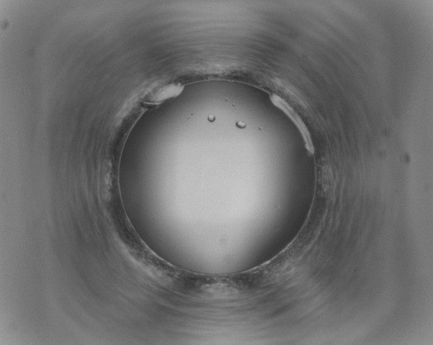 X0000073930544200609011837