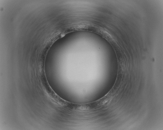 X0000073930546200609011837