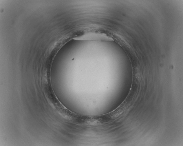 X0000073930547200609011837