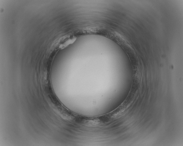 X0000073930548200609011837