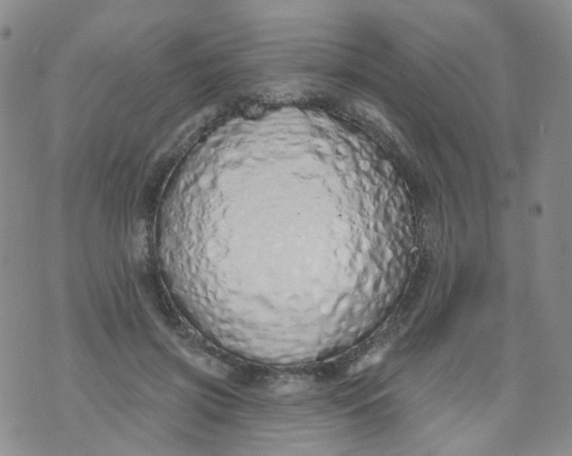 X0000073930549200609011837