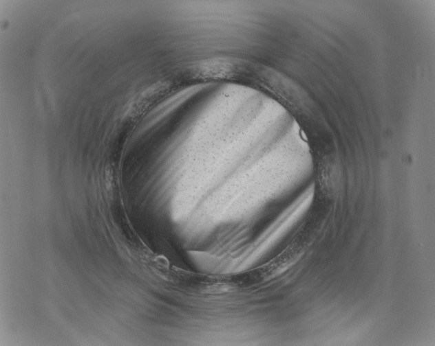 X0000073930551200609011837