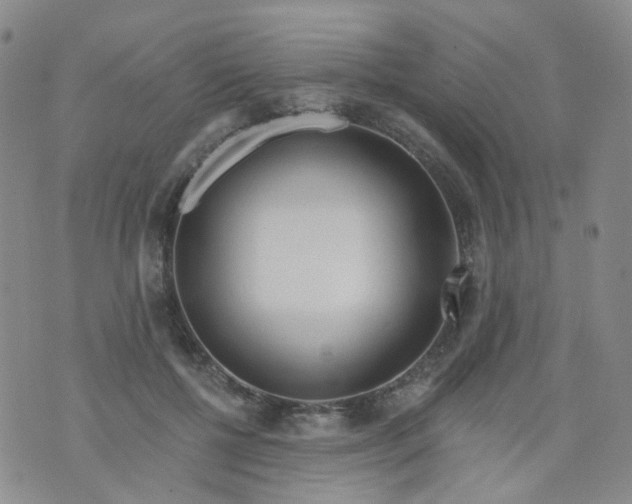 X0000073930552200609011837